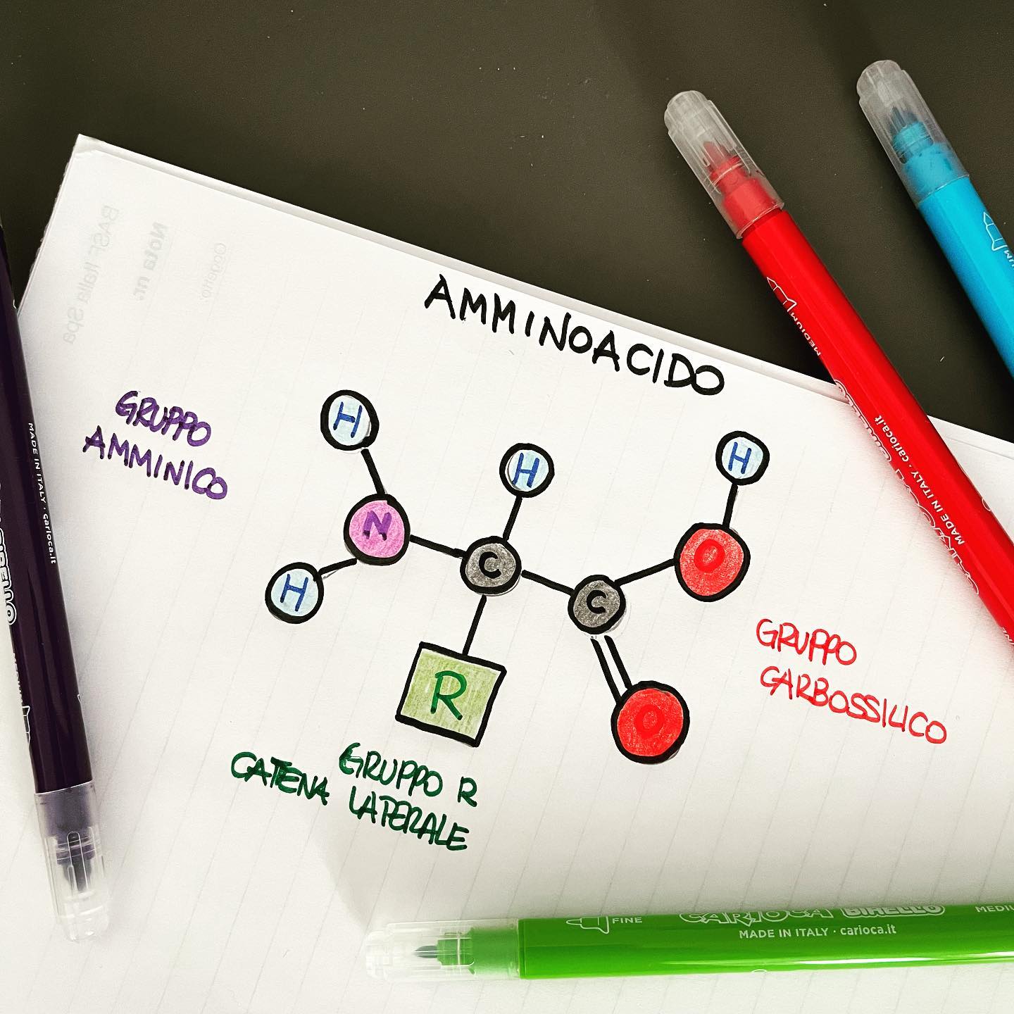 Cosa sono gli amminoacidi e a cosa servono?